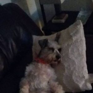 Meet your Posher, Maureen